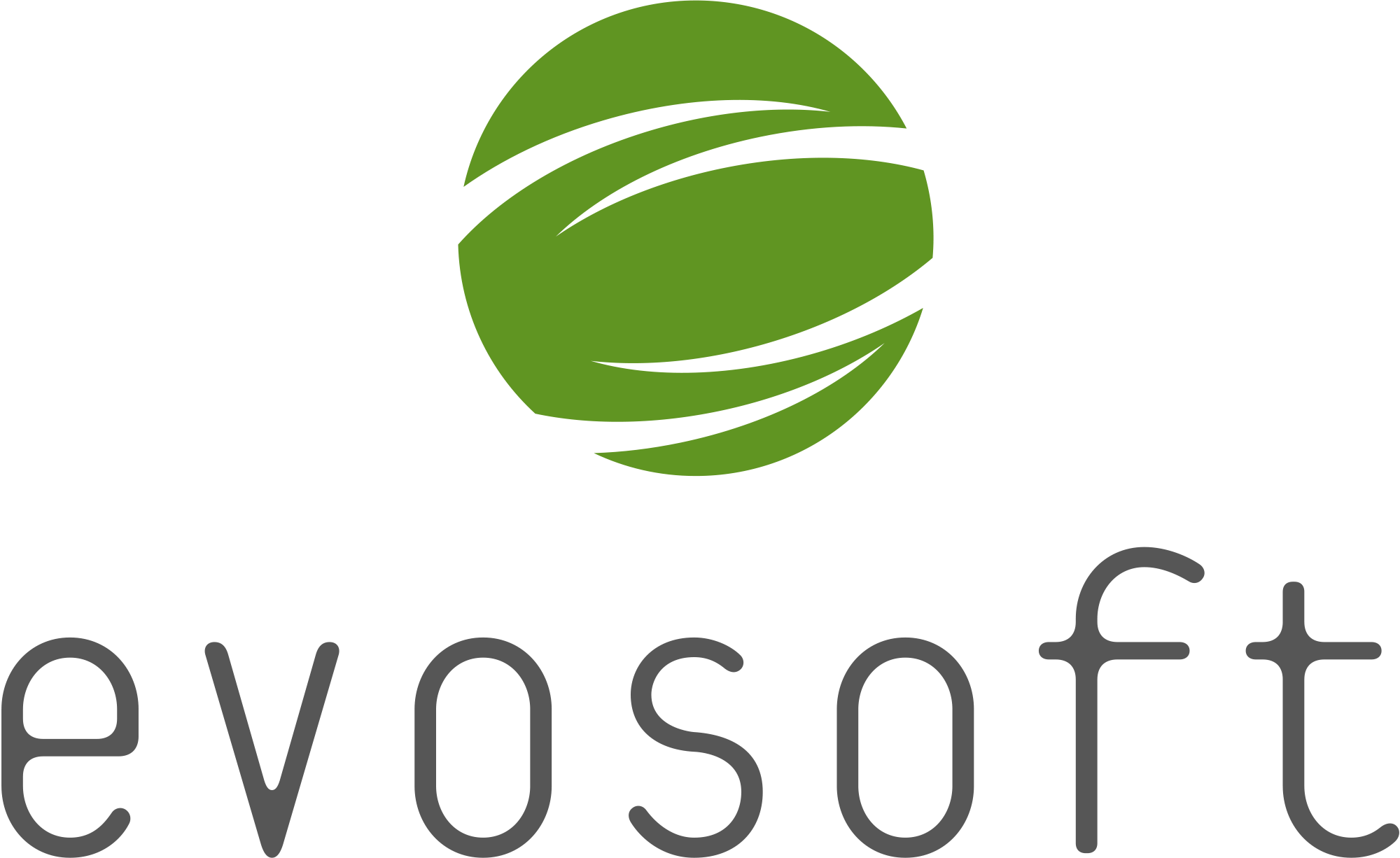 evosoft logo